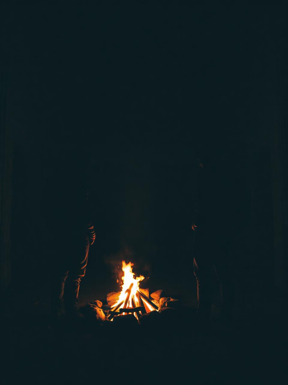 The Friendship — A fire, a promise, an alliance.